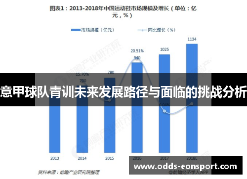 意甲球队青训未来发展路径与面临的挑战分析