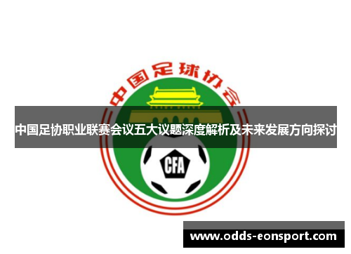 中国足协职业联赛会议五大议题深度解析及未来发展方向探讨