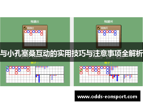 与小孔塞桑互动的实用技巧与注意事项全解析