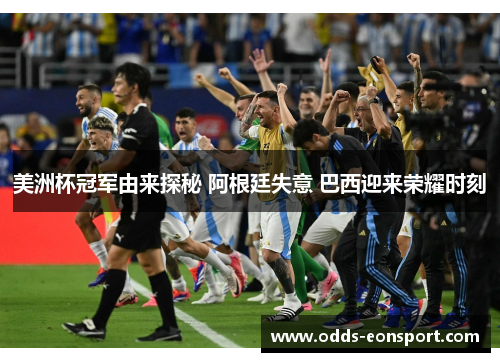 美洲杯冠军由来探秘 阿根廷失意 巴西迎来荣耀时刻